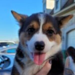 Profile photo of Jeff