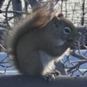 Profile photo of Thebigunit